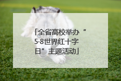 全省高校举办“5·8世界红十字日”主题活动