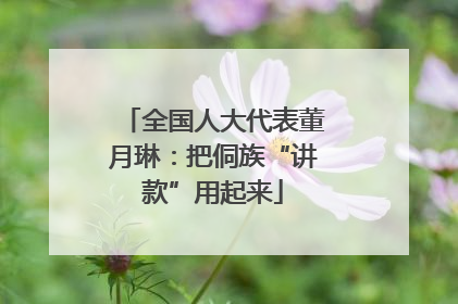 全国人大代表董月琳：把侗族“讲款”用起来