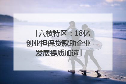 六枝特区：18亿创业担保贷款助企业发展提质加速