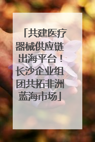 共建医疗器械供应链出海平台！长沙企业组团共拓非洲蓝海市场