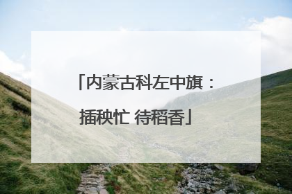 内蒙古科左中旗：插秧忙 待稻香