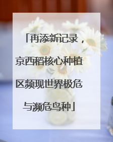再添新记录，京西稻核心种植区频现世界极危与濒危鸟种
