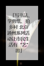 写书法、学剪纸、拍乡村 北京通州系列活动让市民生活有“艺”思