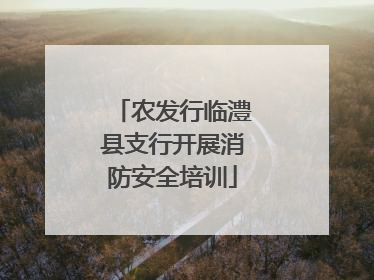 农发行临澧县支行开展消防安全培训