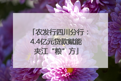 农发行四川分行：4.4亿元贷款赋能夹江“粮”方