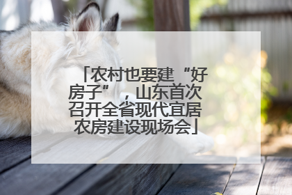 农村也要建“好房子”，山东首次召开全省现代宜居农房建设现场会