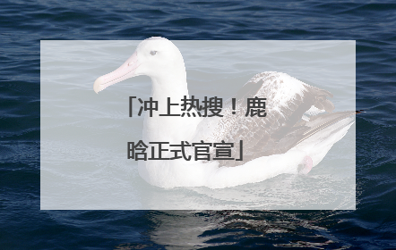 冲上热搜！鹿晗正式官宣