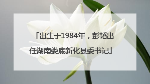 出生于1984年，彭韬出任湖南娄底新化县委书记