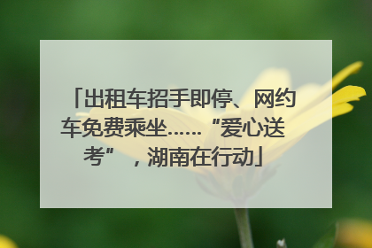 出租车招手即停、网约车免费乘坐……“爱心送考”，湖南在行动