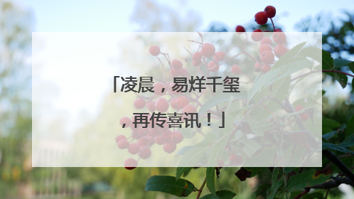 凌晨，易烊千玺，再传喜讯！