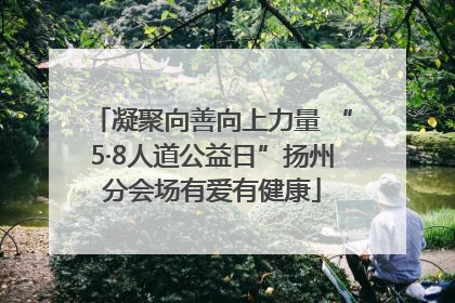 凝聚向善向上力量 “5·8人道公益日”扬州分会场有爱有健康