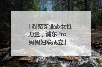 凝聚新业态女性力量，浦东Pro妈妈妇联成立