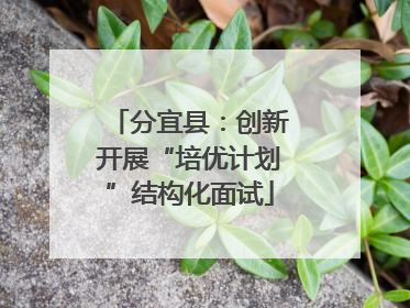 分宜县：创新开展“培优计划”结构化面试