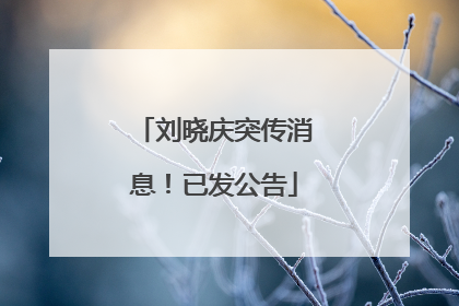 刘晓庆突传消息！已发公告