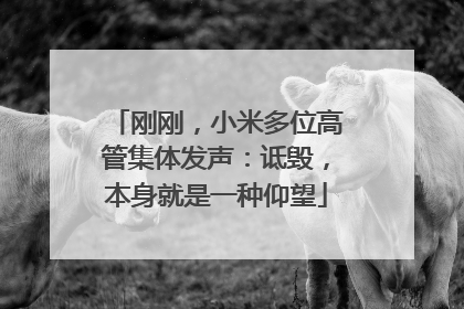 刚刚，小米多位高管集体发声：诋毁，本身就是一种仰望
