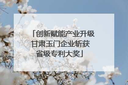 创新赋能产业升级 甘肃玉门企业斩获省级专利大奖
