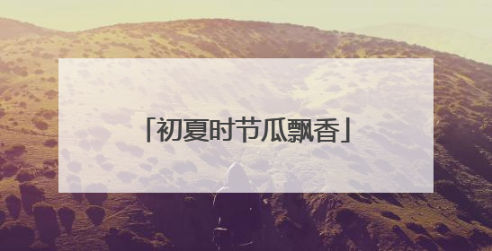 初夏时节瓜飘香