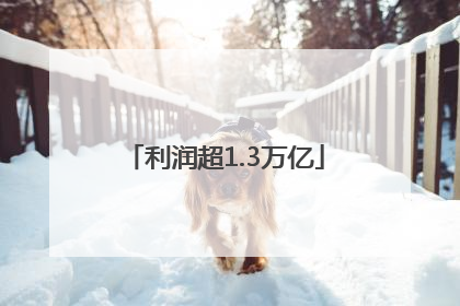 利润超1.3万亿