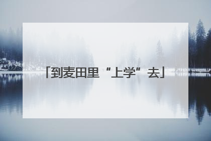 到麦田里“上学”去