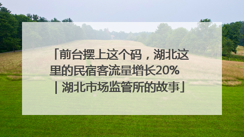 前台摆上这个码，湖北这里的民宿客流量增长20%｜湖北市场监管所的故事