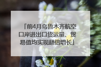 前4月乌鲁木齐航空口岸进出口货运量、贸易值均实现翻倍增长