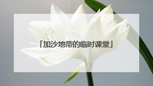 加沙地带的临时课堂