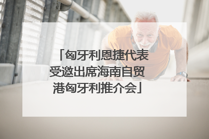 匈牙利恩捷代表受邀出席海南自贸港匈牙利推介会