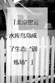 北京密云水库鸟岛成了生态“训练场”