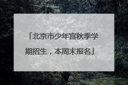 北京市少年宫秋季学期招生，本周末报名