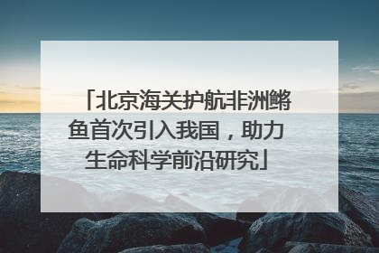北京海关护航非洲鳉鱼首次引入我国，助力生命科学前沿研究