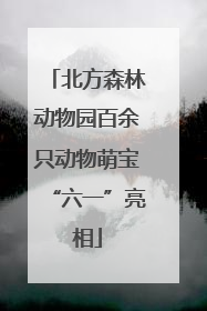 北方森林动物园百余只动物萌宝“六一”亮相
