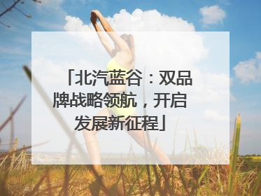 北汽蓝谷：双品牌战略领航，开启发展新征程