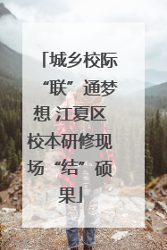城乡校际“联”通梦想 江夏区校本研修现场“结”硕果