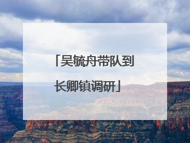 吴毓舟带队到长卿镇调研