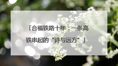 合福铁路十年：一条高铁串起的“诗与远方”