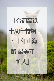 合福高铁十周年特辑：十年山海路 最美守护人