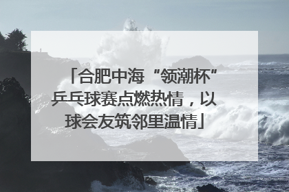 合肥中海“领潮杯”乒乓球赛点燃热情，以球会友筑邻里温情