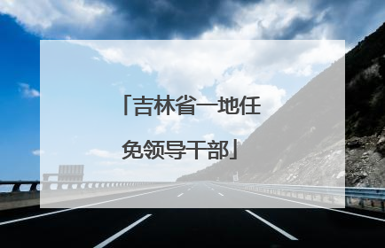 吉林省一地任免领导干部