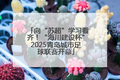 向“苏超”学习看齐！“海川建设杯”2025青岛城市足球联赛开幕