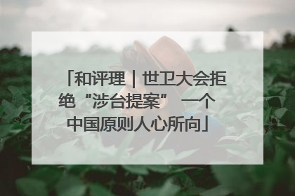 和评理｜世卫大会拒绝“涉台提案” 一个中国原则人心所向