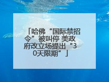 哈佛“国际禁招令”被叫停 美政府改立场提出“30天限期”