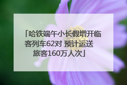 哈铁端午小长假增开临客列车62对 预计运送旅客160万人次