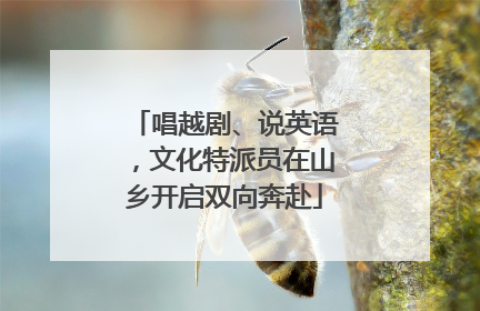 唱越剧、说英语，文化特派员在山乡开启双向奔赴