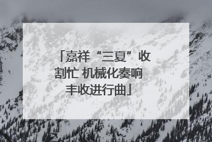 嘉祥“三夏”收割忙 机械化奏响丰收进行曲