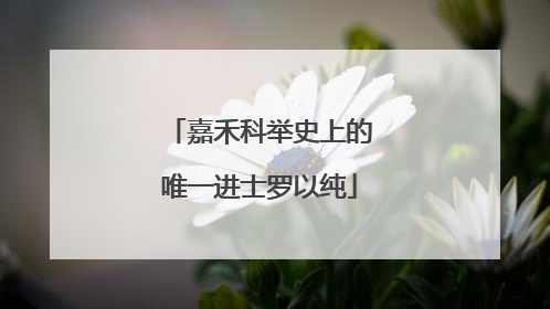 嘉禾科举史上的唯一进士罗以纯