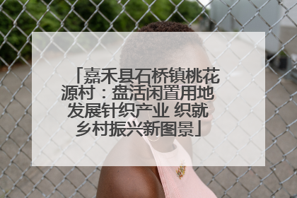 嘉禾县石桥镇桃花源村：盘活闲置用地发展针织产业 织就乡村振兴新图景