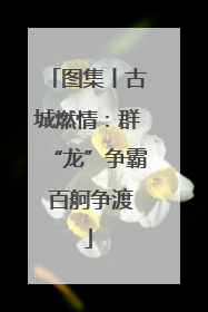 图集丨古城燃情：群“龙”争霸 百舸争渡