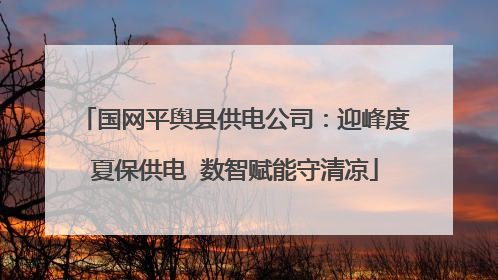国网平舆县供电公司：迎峰度夏保供电  数智赋能守清凉