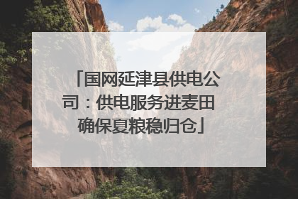 国网延津县供电公司：供电服务进麦田 确保夏粮稳归仓