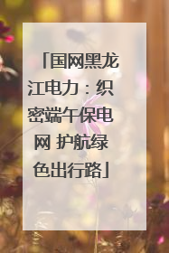 国网黑龙江电力：织密端午保电网 护航绿色出行路